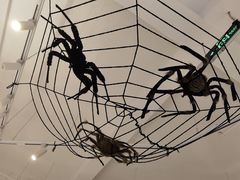 -Fridi Patisserie Cafe