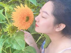 -北陵公园