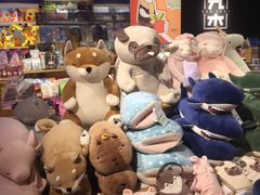 -九木杂物社(新一城店)