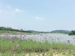 景点-南京市无想山景区