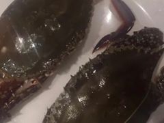 -星伦多 自助料理(圆融店)