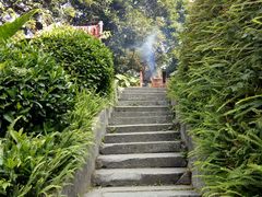 -广州市帽峰山景区