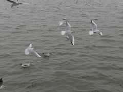 -风云再起游乐汇(南京常发广场店)