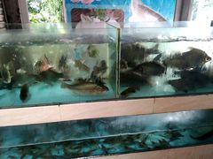 -家乡饭店(里仁洞店)