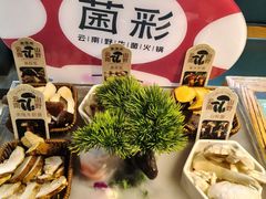 -菌彩云南野生菌火锅(新亚洲店)