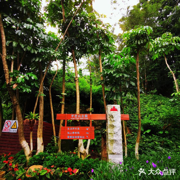 攻略 | 深圳宝安平峦山公园