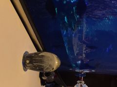 -迪拜帆船酒店海底餐厅