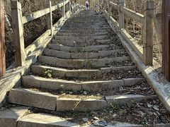 -灵山