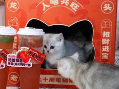 -鱼上·烤鱼(万象城店)