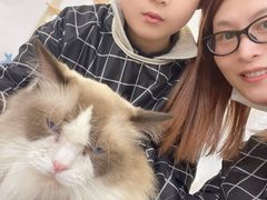 -1013 PET SHOP精品宠物商店(丁香店)
