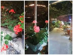 -凤来栖·净庭院·火锅(欧尚店)