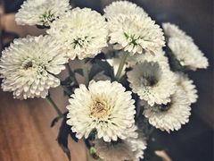 -VOYAGE COFFEE(北锣鼓巷店)