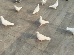 -成都欢乐谷