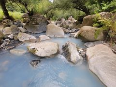 -狮子沟牧场