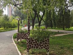 -莲花池公园