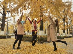 -百林公园-两江幸福广场
