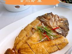 传统香煎咸鲈鱼-汤城小厨•粤菜•靓汤(金宝街店)