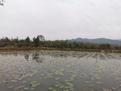 -御霞苑泥烩鸡休闲农庄