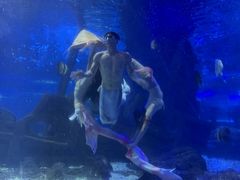 -江和美海洋公园
