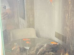 -圣爵菲斯大酒店(长沙世界之窗店)