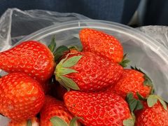 -兰天城市广场(大众中路店)