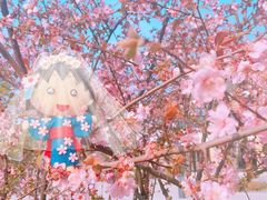 -堤角公园