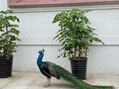 -西昌邛海宾馆