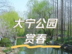 -大宁公园
