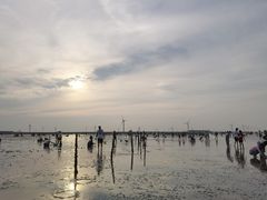 -启东黄金海滩景区