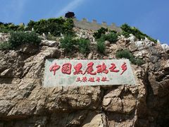 -海驴岛(荣成市)