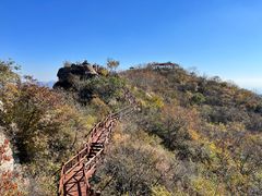-大岭沟猕猴桃谷风景区