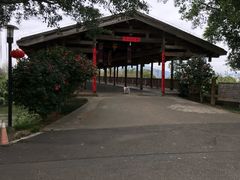 -福建鲤鱼洲酒店