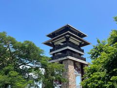 -大湾区中央湿地公园
