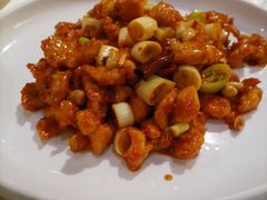 -大鸭梨烤鸭店(花园村店)