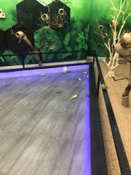 -未来动物城主题公园(正弘城店)