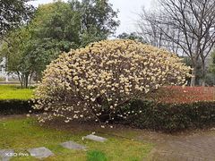 -幕燕滨江·长江观音景区