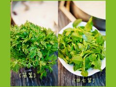茼蒿-御膳宫药膳餐厅(金沙店)