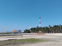 -东郊椰林