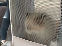 -瑞派福兴宠物医院犬猫全科·骨科·中西医结合(河东店)