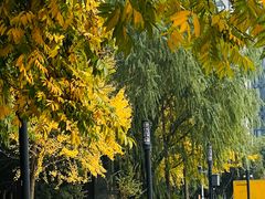 -运河游船(武林门码头)