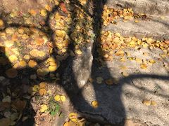 -蟠龙山长城景区