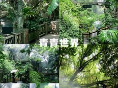 -青青世界