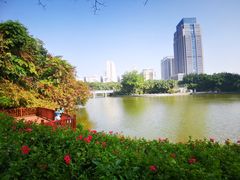 -深圳国际园林花卉博览园