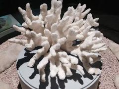-天津自然博物馆