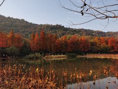 -八卦田遗址公园