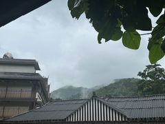 -野象谷景区