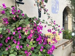 -村上春树