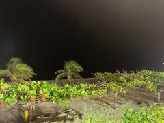 -渔家火锅·海鲜自助餐·演艺(亚龙湾天域酒店)