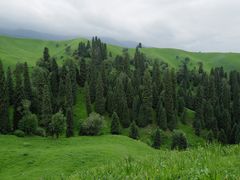 -新疆那拉提国家旅游度假区