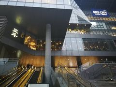 -正斗·港式粤菜(SKLP店)